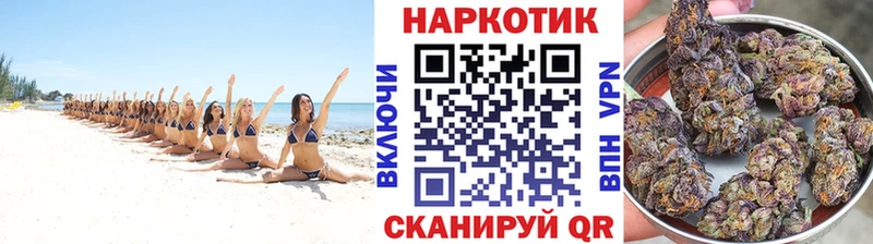 Альфа ПВП Рубцовск
