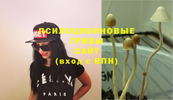 2c-b Алексеевка