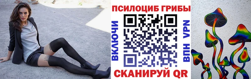 Псилоцибиновые грибы мицелий  мега онион  Рубцовск  продажа наркотиков 
