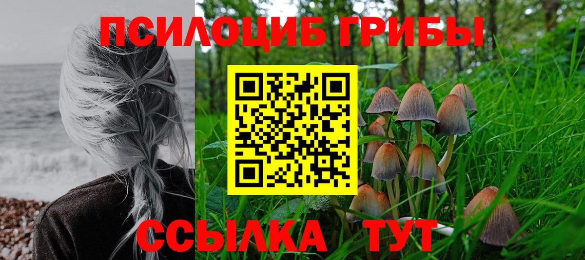 Галлюциногенные грибы Magic Shrooms Рубцовск